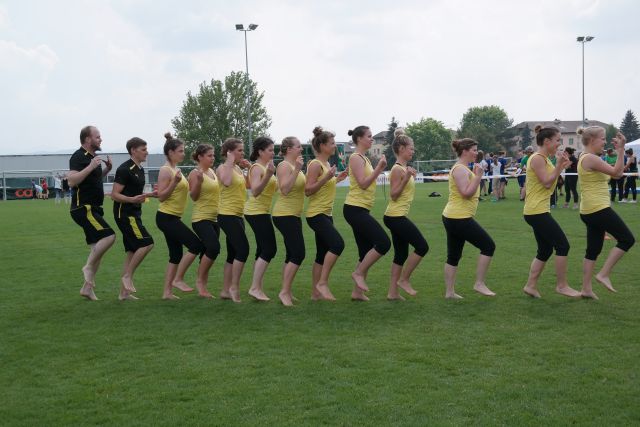 Bild (81)